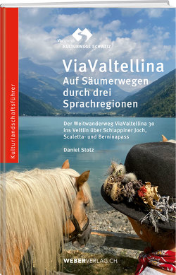 ViaValtellina von Stotz,  Daniel