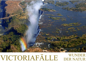 VICTORIAFÄLLE Wunder der Natur (Wandkalender 2022 DIN A2 quer) von Woyke,  Wibke