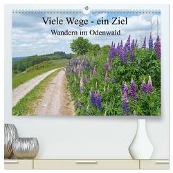 Viele Wege – ein Ziel Wandern im Odenwald (hochwertiger Premium Wandkalender 2024 DIN A2 quer), Kunstdruck in Hochglanz von Andersen,  Ilona