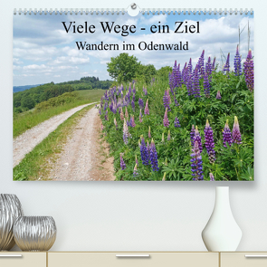 Viele Wege – ein Ziel Wandern im Odenwald (Premium, hochwertiger DIN A2 Wandkalender 2023, Kunstdruck in Hochglanz) von Andersen,  Ilona