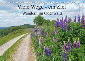 Viele Wege – ein Ziel Wandern im Odenwald (Tischkalender 2022 DIN A5 quer) von Andersen,  Ilona
