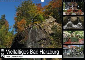 Vielfältiges Bad Harzburg (Wandkalender 2019 DIN A3 quer) von Lindert-Rottke,  Antje