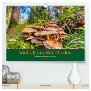 Vielfalt am Waldboden (hochwertiger Premium Wandkalender 2024 DIN A2 quer), Kunstdruck in Hochglanz von Irmer,  Torsten
