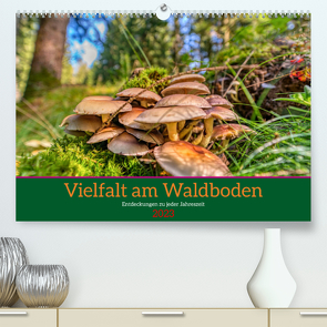 Vielfalt am Waldboden (Premium, hochwertiger DIN A2 Wandkalender 2023, Kunstdruck in Hochglanz) von Irmer,  Torsten