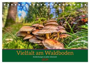 Vielfalt am Waldboden (Tischkalender 2024 DIN A5 quer), CALVENDO Monatskalender von Irmer,  Torsten