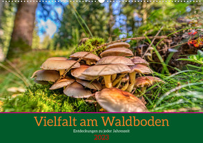 Vielfalt am Waldboden (Wandkalender 2023 DIN A2 quer) von Irmer,  Torsten