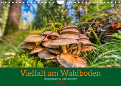 Vielfalt am Waldboden (Wandkalender 2023 DIN A4 quer) von Irmer,  Torsten