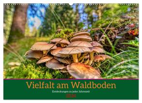 Vielfalt am Waldboden (Wandkalender 2024 DIN A2 quer), CALVENDO Monatskalender von Irmer,  Torsten