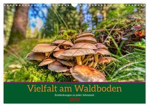 Vielfalt am Waldboden (Wandkalender 2024 DIN A3 quer), CALVENDO Monatskalender von Irmer,  Torsten