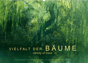 Vielfalt der Bäume – variety of trees (Wandkalender 2023 DIN A2 quer) von Lenferink,  Franziska