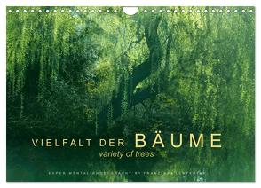 Vielfalt der Bäume – variety of trees (Wandkalender 2024 DIN A4 quer), CALVENDO Monatskalender von Lenferink,  Franziska