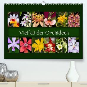 Vielfalt der Orchideen (Premium, hochwertiger DIN A2 Wandkalender 2023, Kunstdruck in Hochglanz) von Schulz,  Eerika