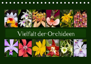 Vielfalt der Orchideen (Tischkalender 2023 DIN A5 quer) von Schulz,  Eerika