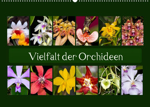 Vielfalt der Orchideen (Wandkalender 2023 DIN A2 quer) von Schulz,  Eerika