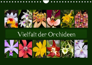Vielfalt der Orchideen (Wandkalender 2023 DIN A4 quer) von Schulz,  Eerika