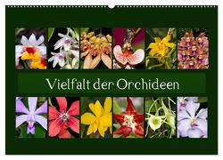 Vielfalt der Orchideen (Wandkalender 2024 DIN A2 quer), CALVENDO Monatskalender von Schulz,  Eerika