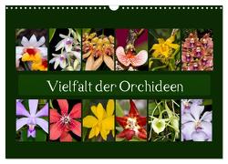 Vielfalt der Orchideen (Wandkalender 2024 DIN A3 quer), CALVENDO Monatskalender von Schulz,  Eerika