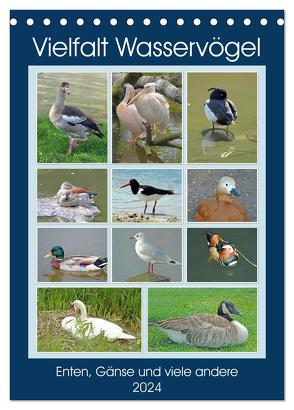 Vielfalt Wasservögel (Tischkalender 2024 DIN A5 hoch), CALVENDO Monatskalender von Kleemann,  Claudia