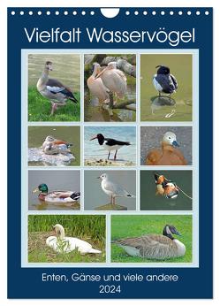 Vielfalt Wasservögel (Wandkalender 2024 DIN A4 hoch), CALVENDO Monatskalender von Kleemann,  Claudia