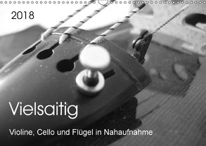 Vielsaitig – Violine, Cello und Flügel in Nahaufnahme (Wandkalender 2018 DIN A3 quer) von Ziegler,  Nicole