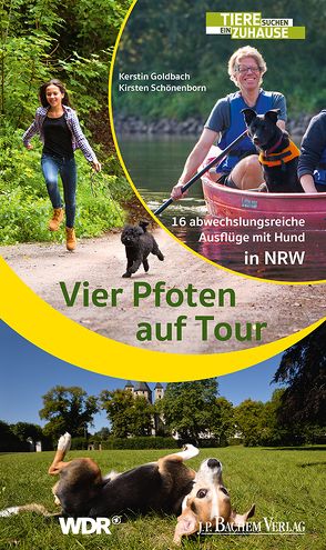 Vier Pfoten auf Tour von Goldbach,  Kerstin, Schönenborn,  Kirsten