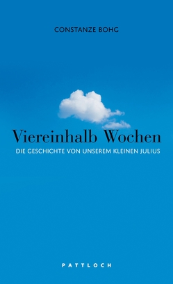 Viereinhalb Wochen von Bohg,  Constanze, Lessing,  Lukas