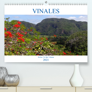 VIÑALES – Kubas Tal der Träume (Premium, hochwertiger DIN A2 Wandkalender 2021, Kunstdruck in Hochglanz) von von Loewis of Menar,  Henning