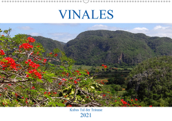 VIÑALES – Kubas Tal der Träume (Wandkalender 2021 DIN A2 quer) von von Loewis of Menar,  Henning