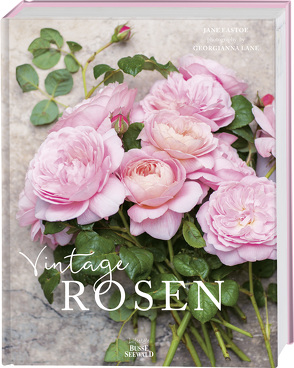 Vintage Rosen von Eastoe,  Jane, Lane,  Georgianna