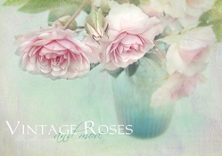 Vintage Roses and more (Posterbuch DIN A3 quer) von Pe,  Lizzy