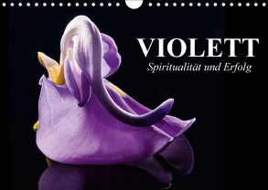 Violett. Spiritualität und Erfolg (Wandkalender 2018 DIN A4 quer) von Stanzer,  Elisabeth