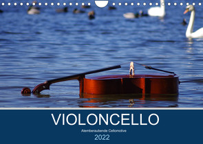 VIOLONCELLO – atemberaubende Cellomotive (Wandkalender 2022 DIN A4 quer) von Hoffmann,  Daniel