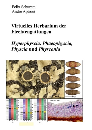 Virtuelles Herbarium der Flechtgattungen von Schumm,  Felix