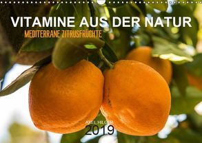 VITAMINE AUS DER NATUR (Wandkalender 2019 DIN A3 quer) von Hilger,  Axel