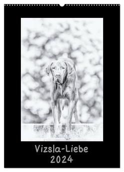 Vizsla-Liebe (Wandkalender 2024 DIN A2 hoch), CALVENDO Monatskalender von Divaldi,  Divaldi