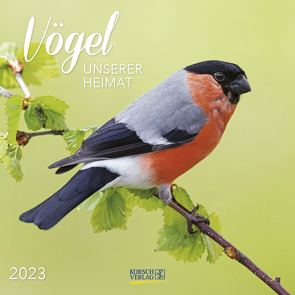 Vögel 2023 von Korsch Verlag