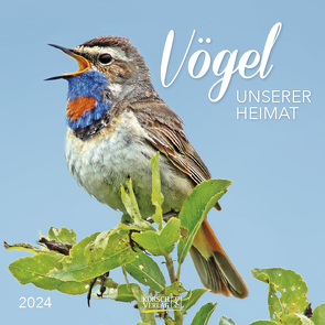 Vögel 2024 von Korsch Verlag