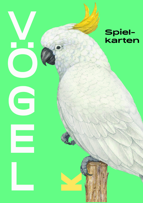 Vögel von Miyake,  Ryuto