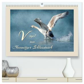 Vögel am Chemnitzer Schlossteich (hochwertiger Premium Wandkalender 2024 DIN A2 quer), Kunstdruck in Hochglanz von Hultsch,  Heike