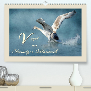 Vögel am Chemnitzer Schlossteich (Premium, hochwertiger DIN A2 Wandkalender 2022, Kunstdruck in Hochglanz) von Hultsch,  Heike