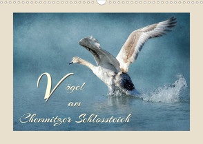 Vögel am Chemnitzer Schlossteich (Wandkalender 2023 DIN A3 quer) von Hultsch,  Heike