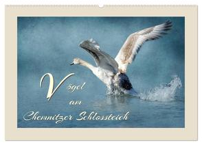 Vögel am Chemnitzer Schlossteich (Wandkalender 2024 DIN A2 quer), CALVENDO Monatskalender von Hultsch,  Heike