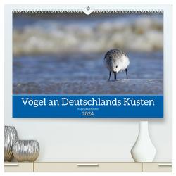 Vögel an Deutschlands Küsten (hochwertiger Premium Wandkalender 2024 DIN A2 quer), Kunstdruck in Hochglanz von Meister,  Angelika