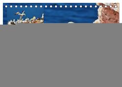 Vögel auf rotem Fels – Helgolands grandiose Vogelwelt (Tischkalender 2024 DIN A5 quer), CALVENDO Monatskalender von Schaack,  René