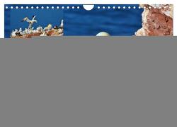 Vögel auf rotem Fels – Helgolands grandiose Vogelwelt (Wandkalender 2024 DIN A4 quer), CALVENDO Monatskalender von Schaack,  René