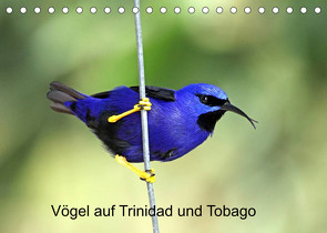 Vögel auf Trinidad und Tobago (Tischkalender 2023 DIN A5 quer) von W. Bruechle,  Dr., Weiterstadt