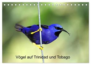 Vögel auf Trinidad und Tobago (Tischkalender 2024 DIN A5 quer), CALVENDO Monatskalender von W. Brüchle,  Weiterstadt,  Dr.