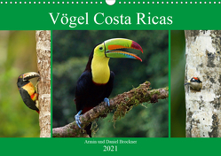 Vögel Costa Ricas (Wandkalender 2021 DIN A3 quer) von und Daniel Brockner,  Armin