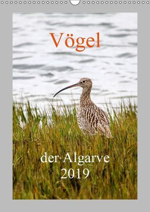 Vögel der Algarve 2019 (Wandkalender 2019 DIN A3 hoch) von Liongamer1