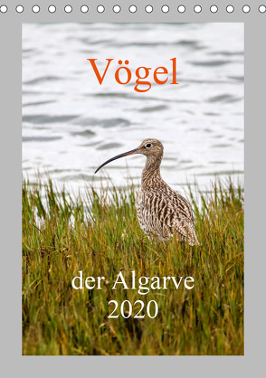 Vögel der Algarve 2020 (Tischkalender 2020 DIN A5 hoch) von Liongamer1